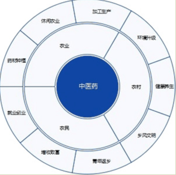 乡村振兴中医药的使命责任与行动