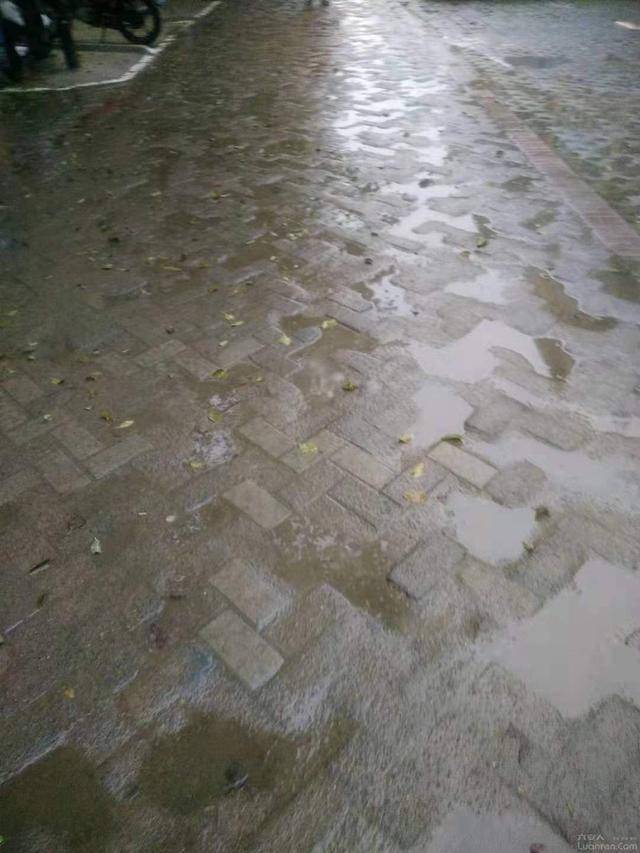 六安香榭花城小区道路下雨坑坑洼洼积水严重