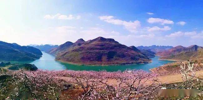 行走安顺 三月赏花季,安顺版"桃花岛"金海雪山…你都打卡过没?