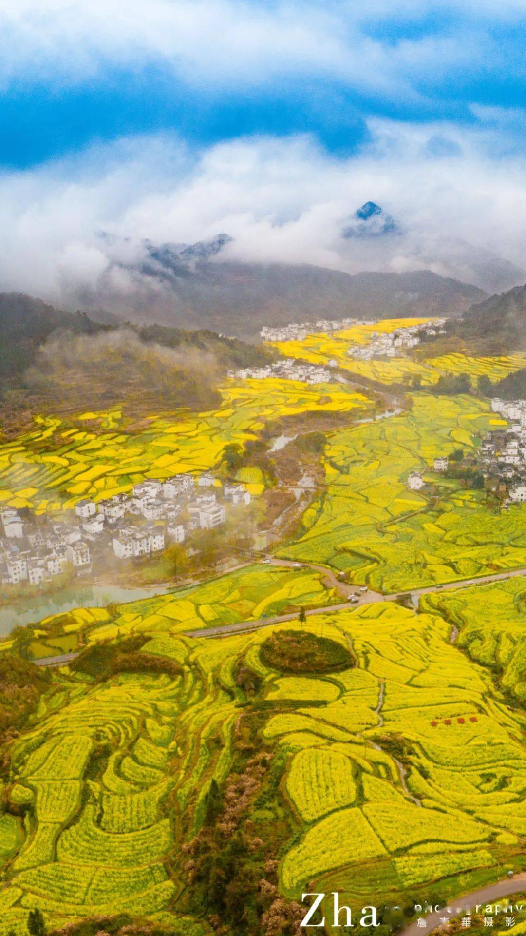 3月12日实景【航拍中国四大花海 ·婺源江岭 】