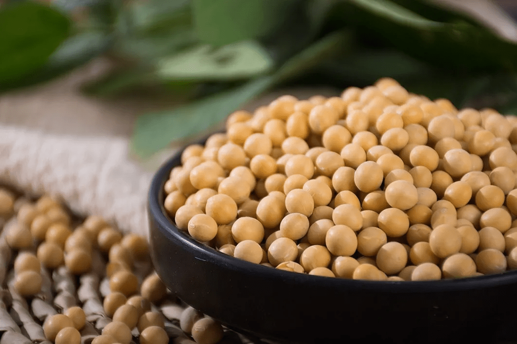 乳腺癌患者能吃大豆吗?纯素饮食可降低复发风险?小心被骗了