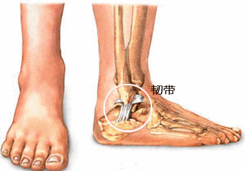 为什么有的人总崴脚?难道身体也有记忆?4个动作可自测踝关节好坏