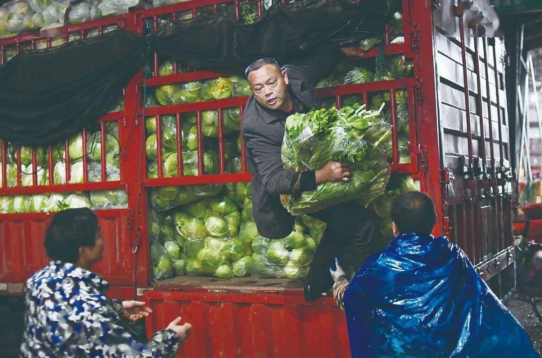 此时的中南蔬菜批发市场,却是另一番热闹的景象.