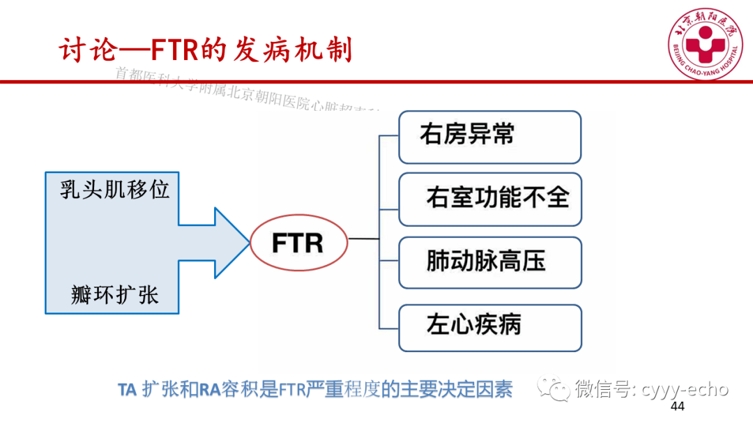 房颤患者右房重构与功能性三尖瓣反流之间的病理生理联系:三维超声