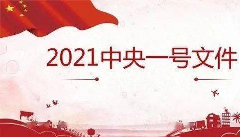 精读2021中央一号文件中的重大战略工程行动计划