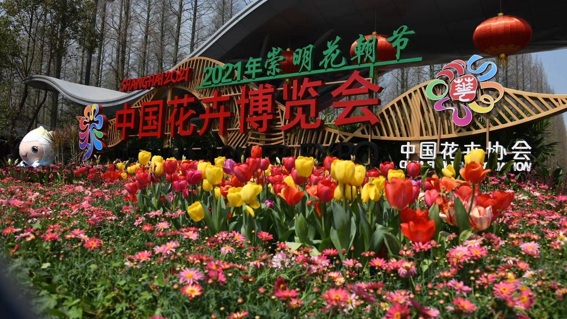 第十届中国花博会将近,崇明花朝节抢先预热