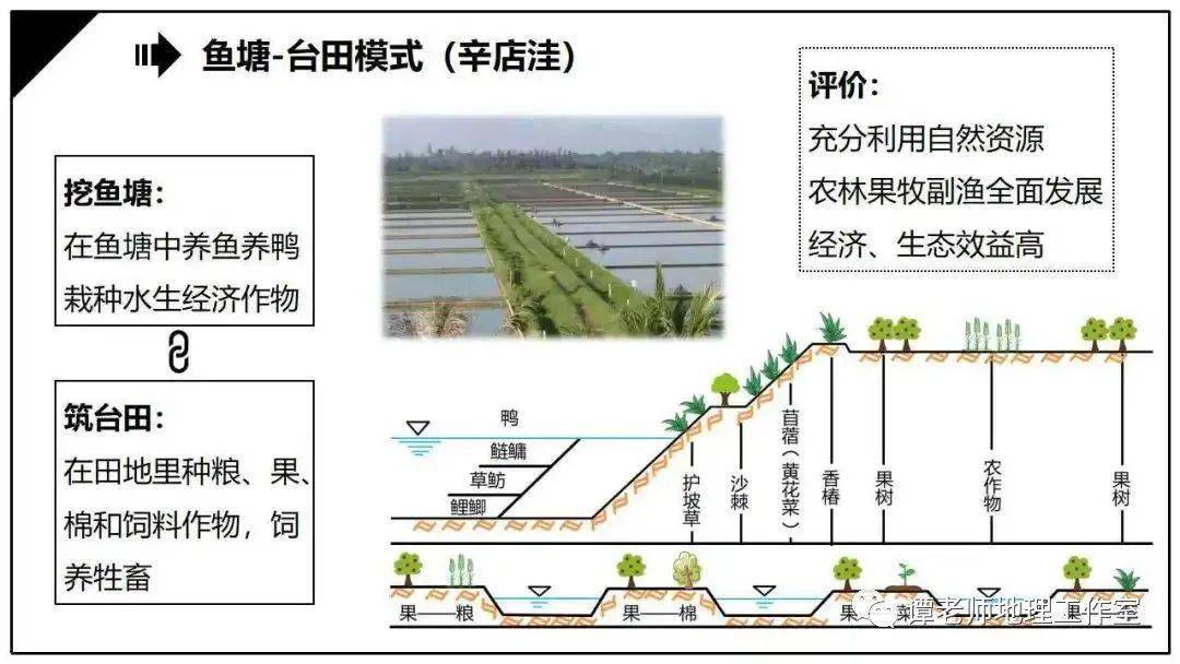 山东禹城辛店洼 鱼塘-台田模式  生态农业是指在保护,改善农业生态