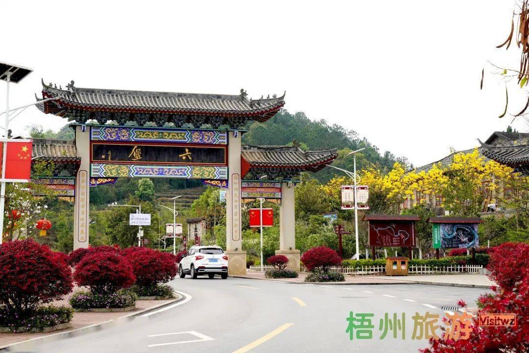 乡村游|春游大中村,不负田园诗画好风光_六堡镇