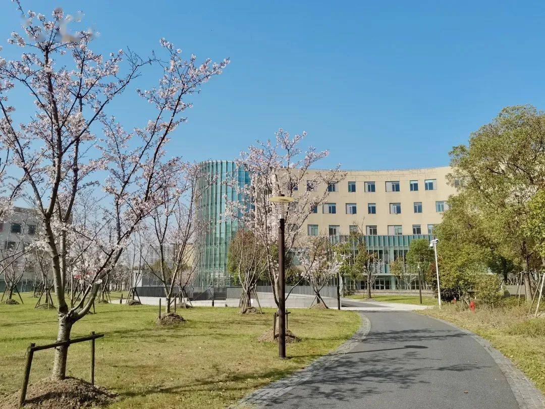 上海科技大学