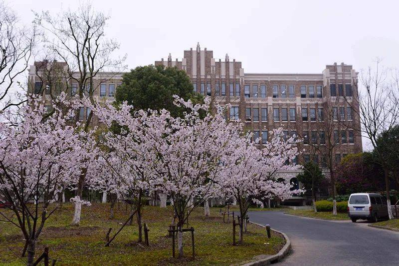 左右             左右             上海视觉艺术学院