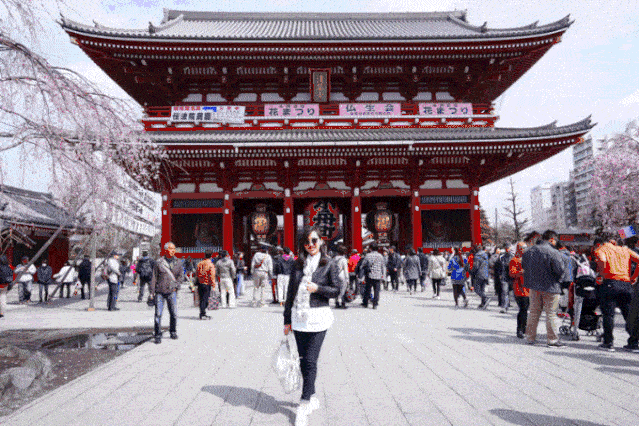 寺寺庙祈福求灵签日本浅草寺的观音灵签在国际有很高认可度有穷通万物
