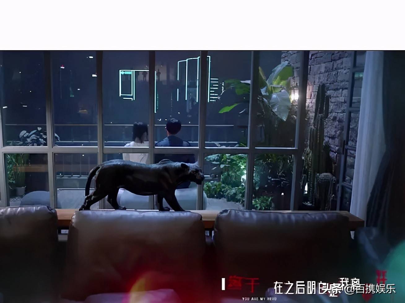 结尾曲这里两个人背影,衣服依旧是邢克垒黑色风衣