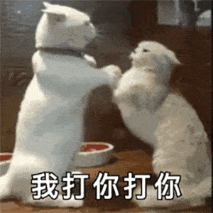iiiiiiiiiiiiiiiiiiiiiiiiiiiiiiiiiiiiiiii沙雕熊猫头其实是一只戏精