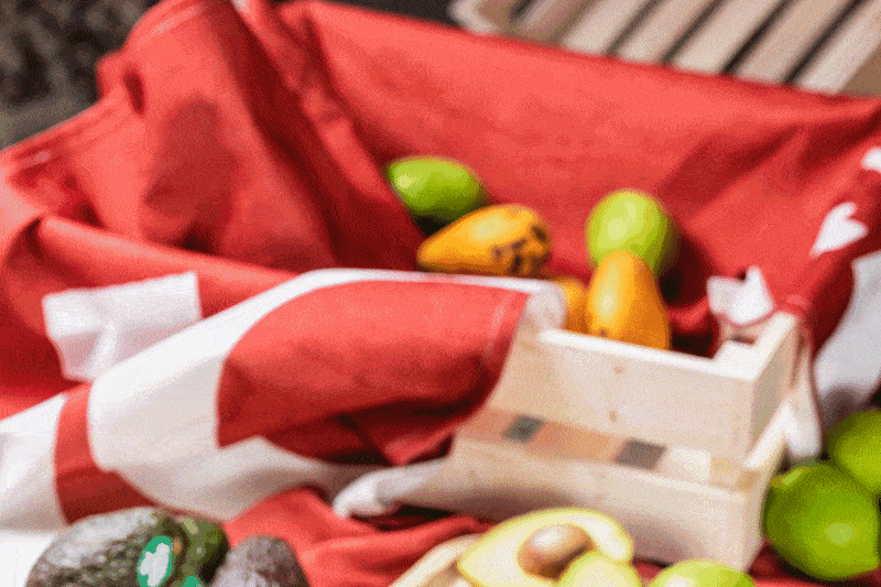 初春时节的一抹清新绿plus ten