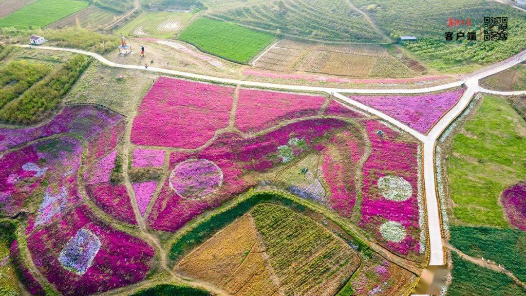 不可错过 01 3月28日, 枣阳市鹿头镇银龙湾 花海 造型各异的鲜花图案