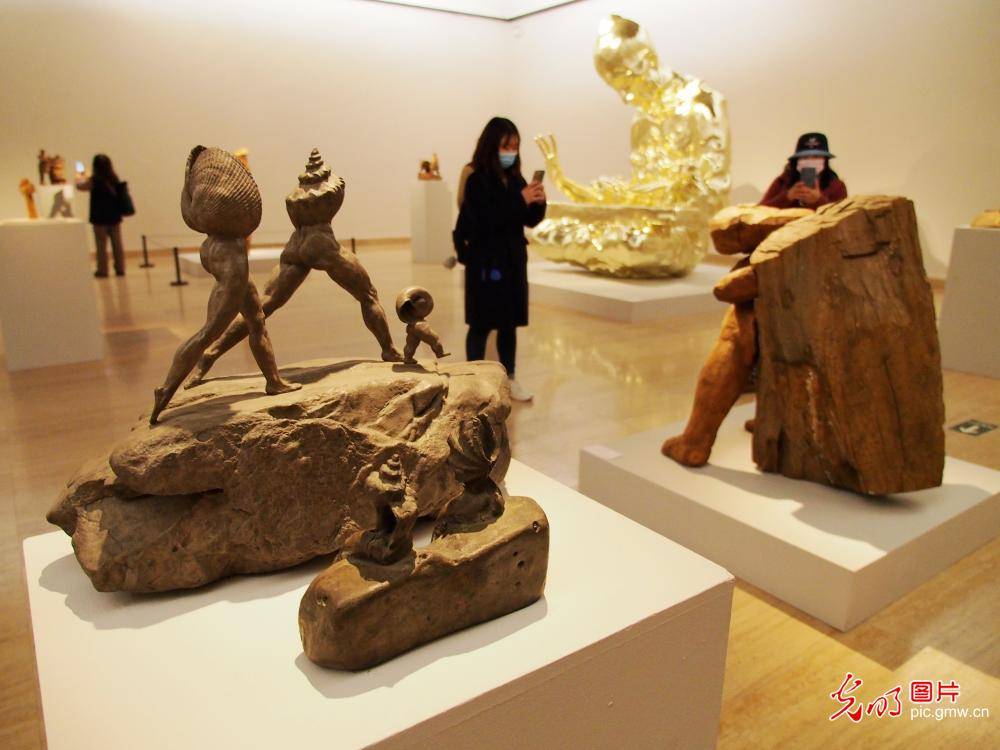 中国美术馆学术邀请系列展琢木声远萧立雕塑作品展开幕