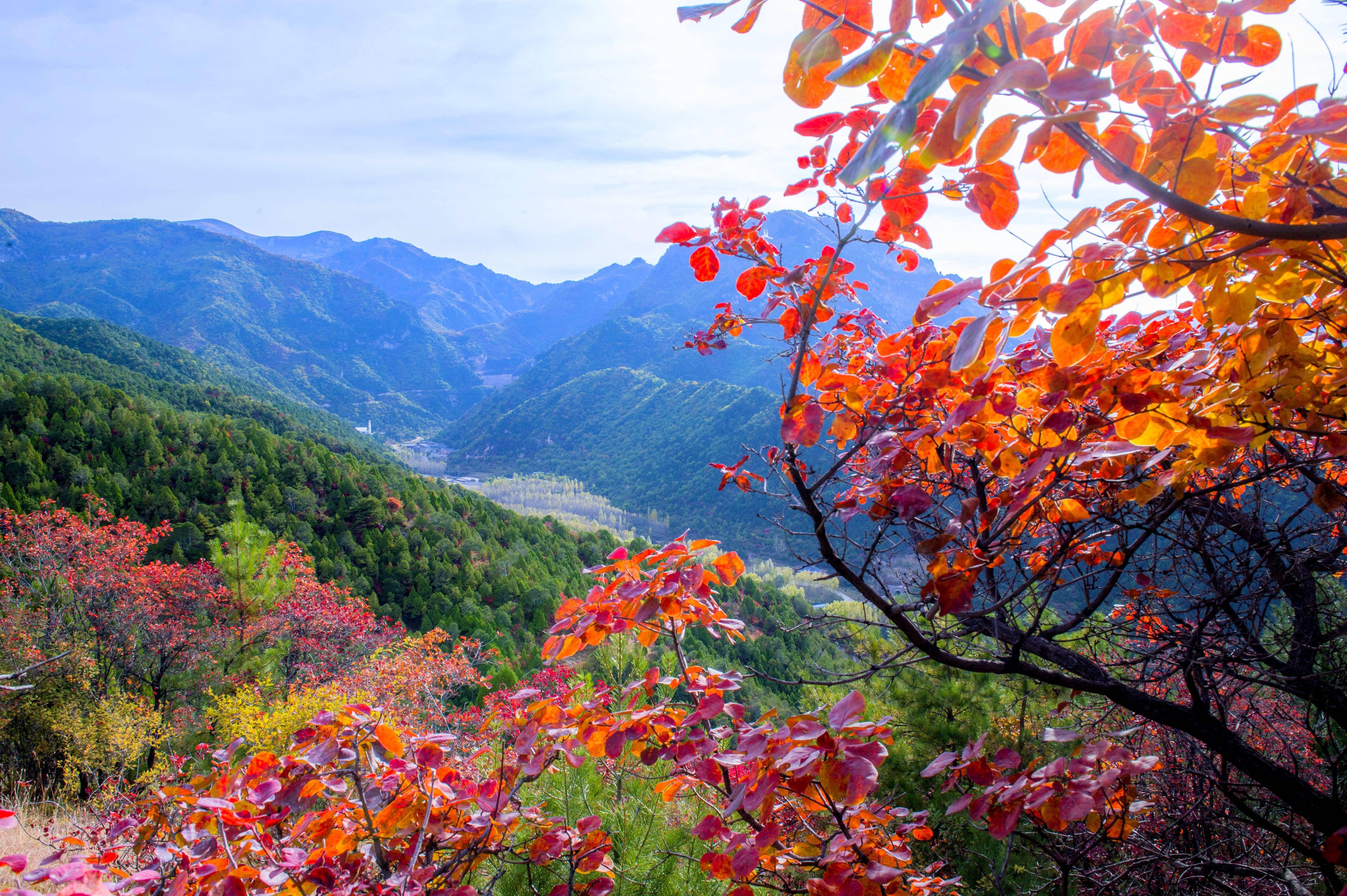 红崖峡谷