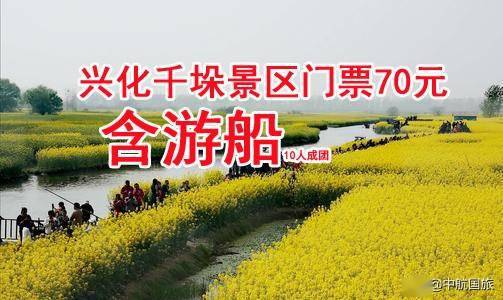 兴化千垛菜花门票特价70元赠送游船 有商务车出租