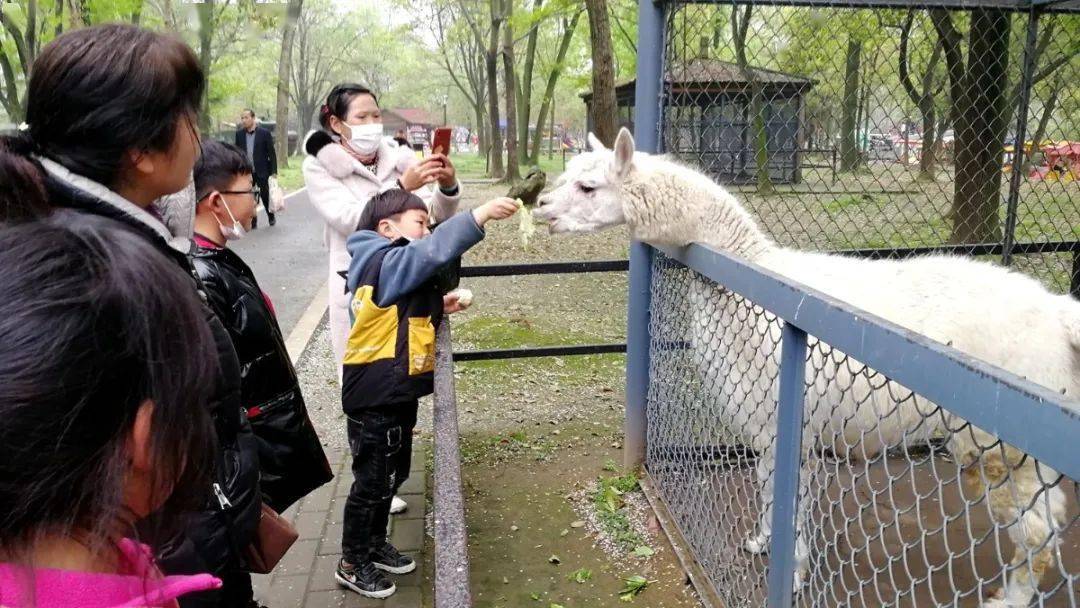 临泉魔幻动物园