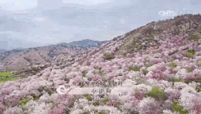 via:航拍中国 via:航拍中国