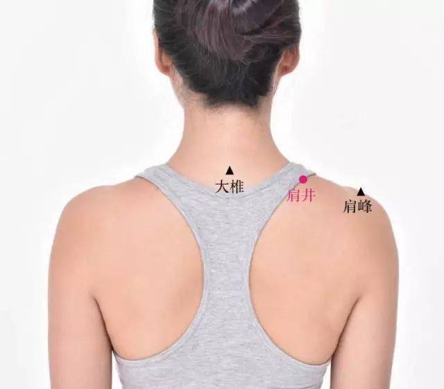 ( ↑肩井穴:在肩上,前直乳中,当大椎与肩峰端连线的中点上.)