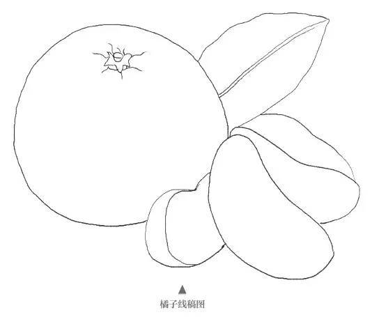 彩铅教程▏教你用彩铅画酸甜可口的橘子