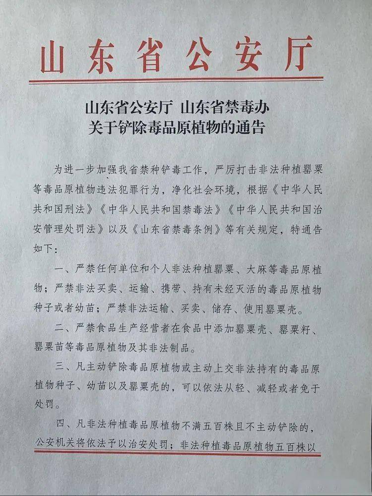 山东省公安厅山东省禁毒办 关于铲除毒品原植物的通告