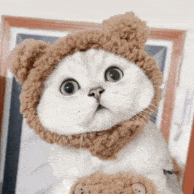 280_280gif 动态图 动图