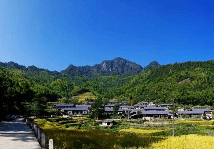 寿山村