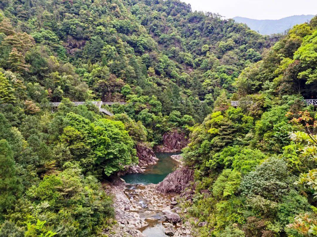 苍南莒溪大峡谷观光栈道春日美照抢鲜看