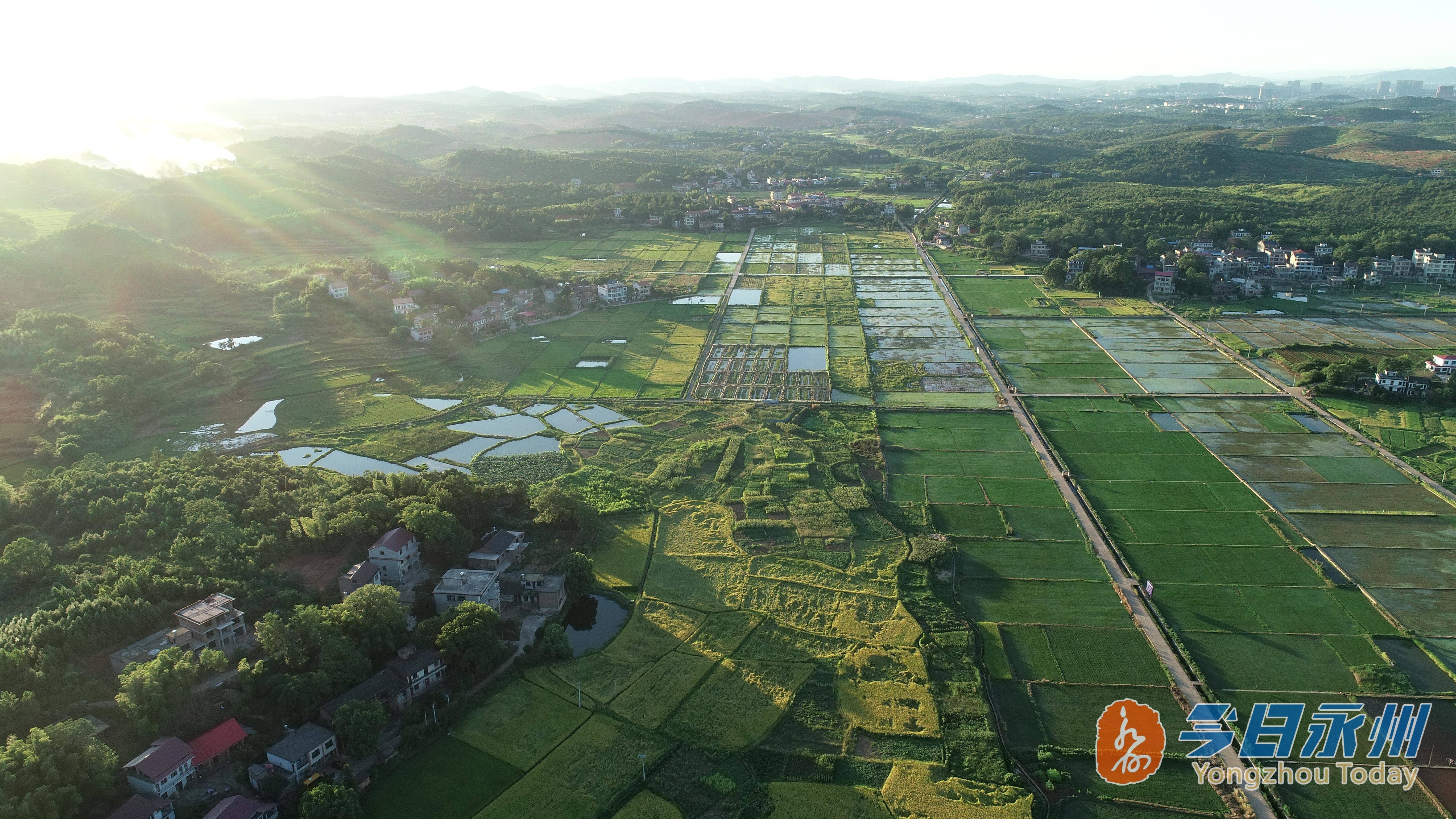 以创建国家现代农业产业园和4a级景区为目标,按照建设"大产区,大园区