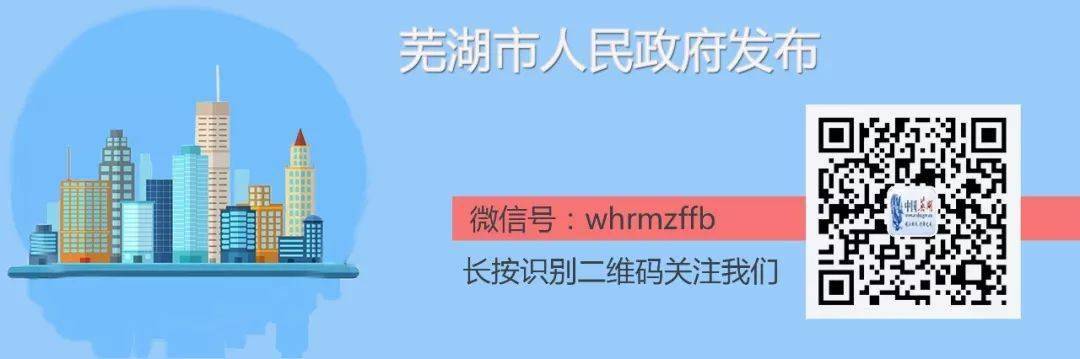 来源芜湖新闻网 主办单位芜湖市人民政府办公室 技术支持芜湖传媒