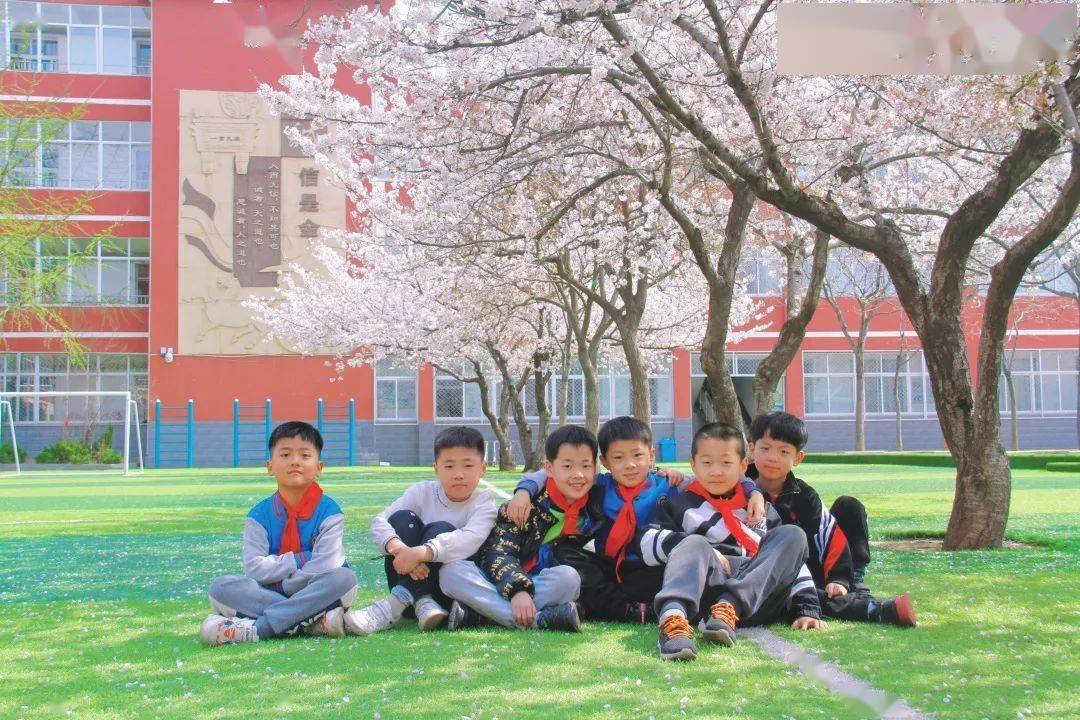 67来一场和春天的约绘吧舜玉小学邀你云赏市中最美校园