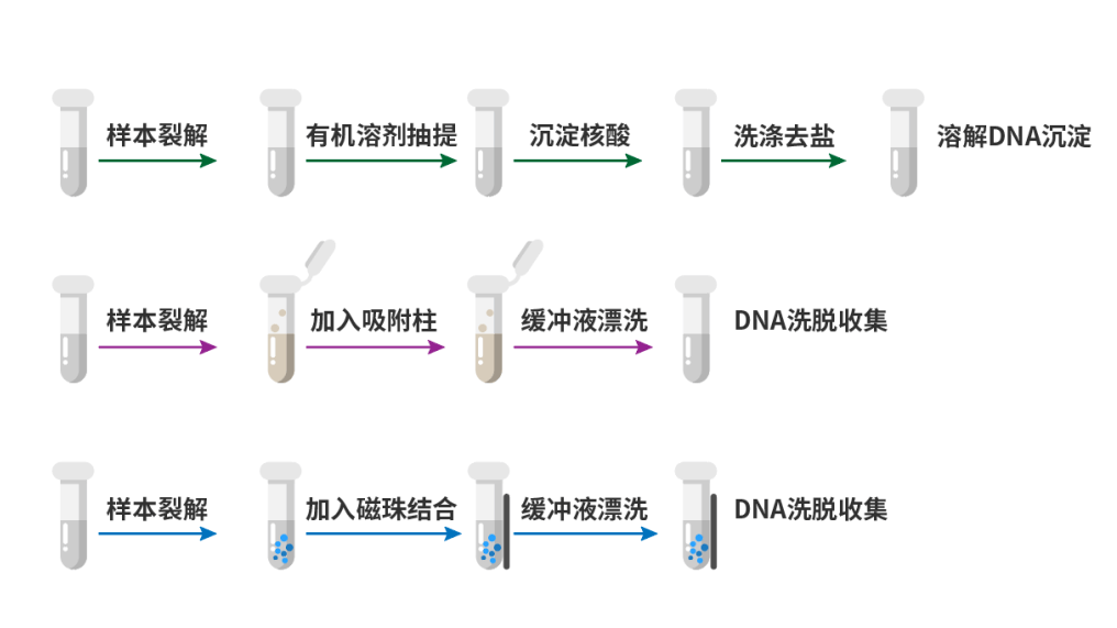 核酸提取总是出问题三个细节帮助你避免失败