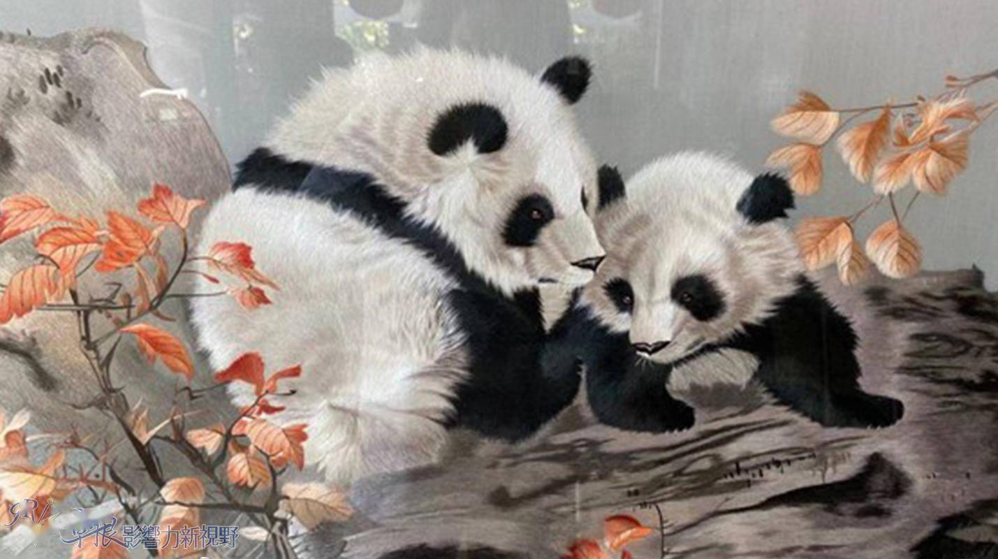 熊猫是蜀绣的经典题材,如果不说,看官们,你能猜出这是绣出来的么,熊猫