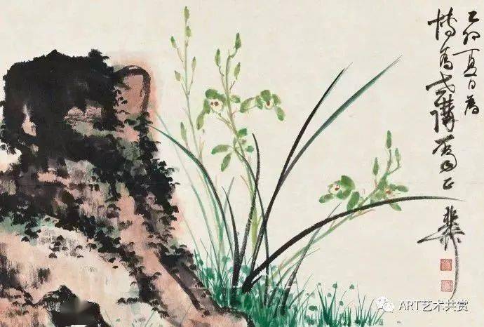 谢稚柳 兰花