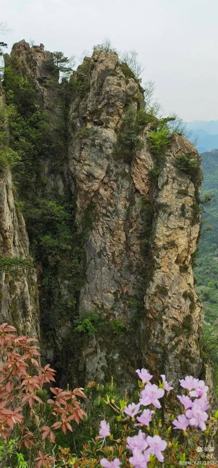 这座百看不厌的金华名山周末可约