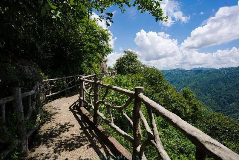 【乐行族│登山】4月24日,樱桃红了,恋恋四明山,山中翡翠,云上鲜果,悬