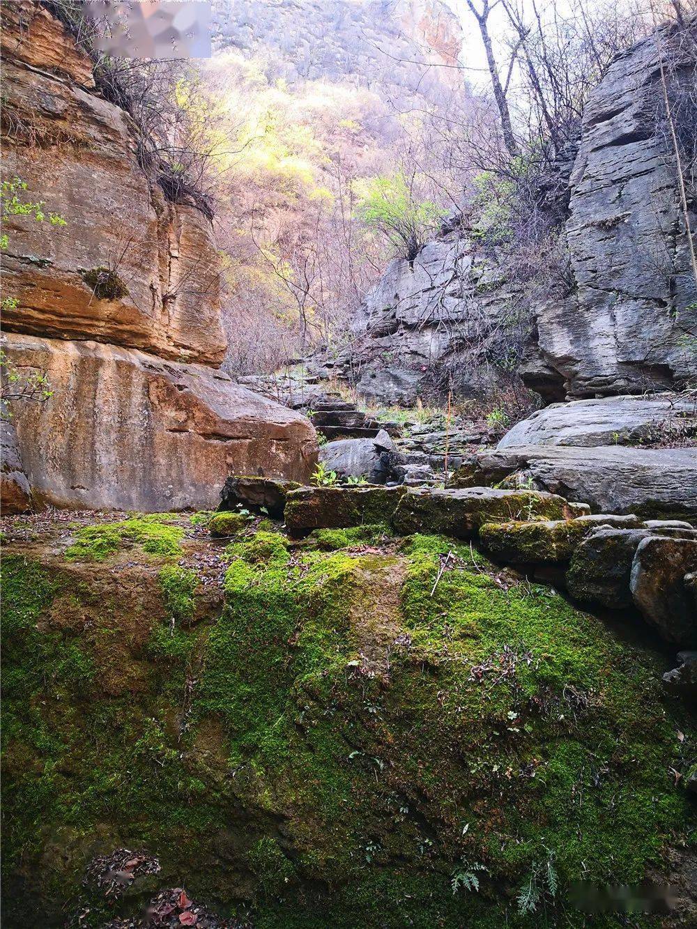 过了这段山谷,石径开始变得陡峭逼仄起来,且乱石磳磴,步步惊心.