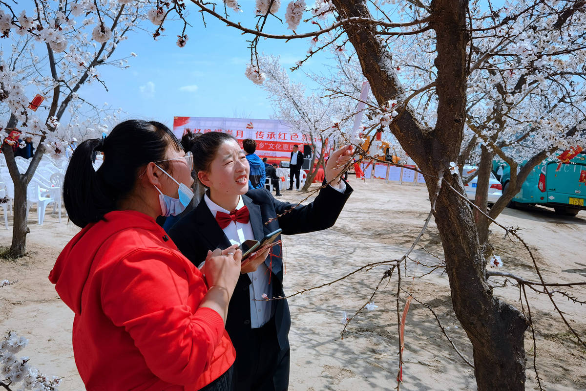 宁夏新闻网记者 祁瀛涛 摄中午时分,在李塬畔村杏林临时搭建的舞台上