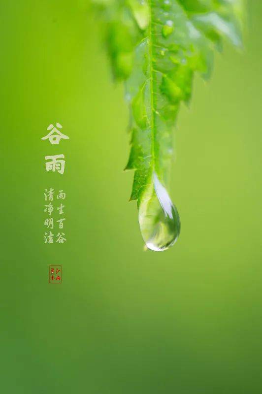 朗诵| 谷雨:雨生百谷,万物逢时