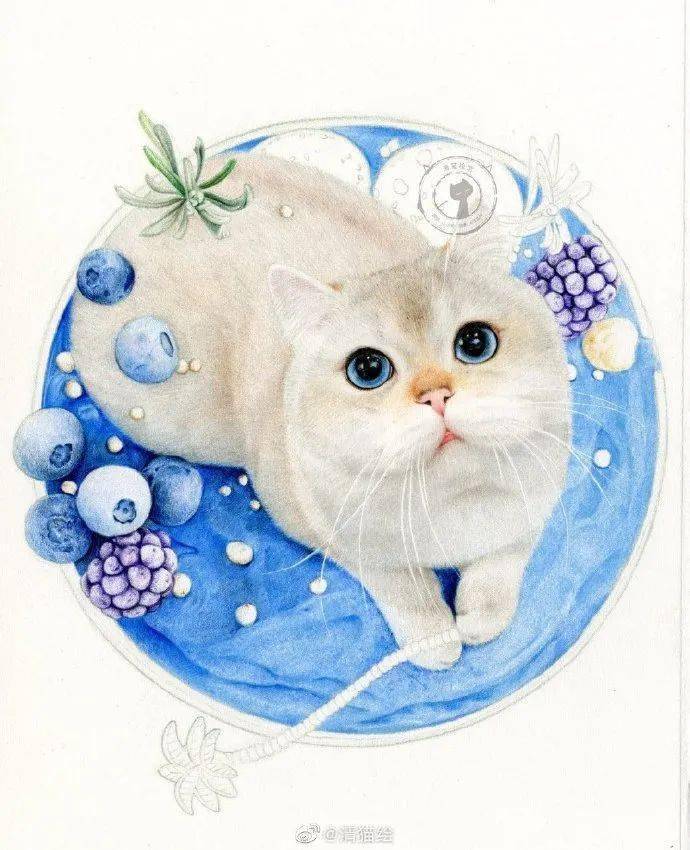 彩铅手绘入门小猫咪彩铅手绘全过程可爱小猫全身彩铅画