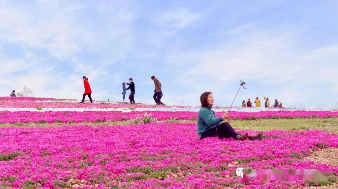 汝州市硕平花海