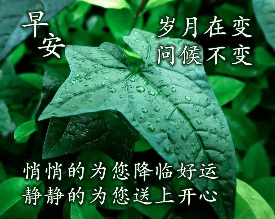 春去夏来阳光灿,愿快乐幸福呵护你的每一天!早安,愿你有个美好一天!