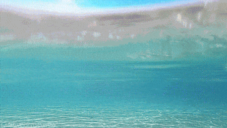 春暖花开日,回归大海时,潜水