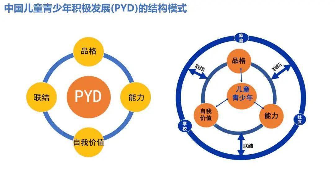 积极青少年发展视角下的心理成长与品德养成