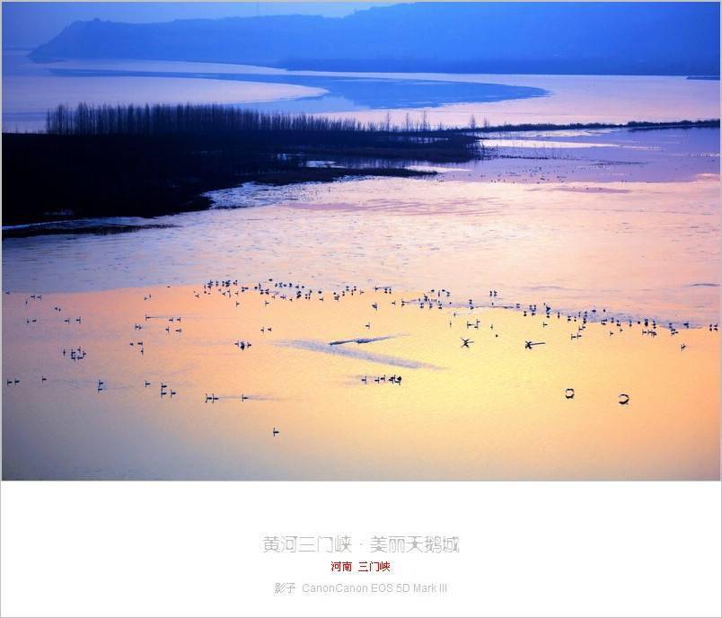 三门峡天鹅湖