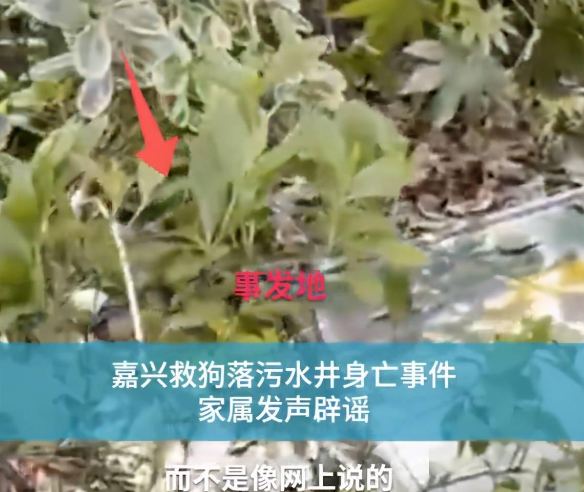 男子为救狗被困污水井身亡 家属:并非主动跳井,物业责任大