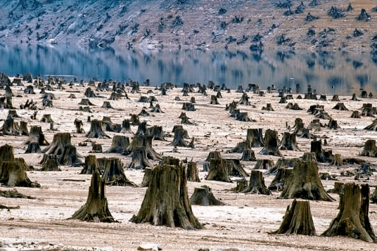 主要可以归纳为以下十类:  (二)臭氧层的耗损与破坏 每一个世界地球日