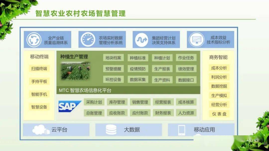 生活发展相关的各方面内容进行全方面的信息化处理和利用,具有对农村